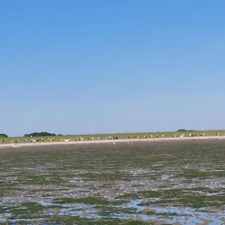 Schneider Дом отдыха *