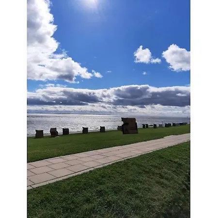 Schneider Бюзумер-Дайххаузен