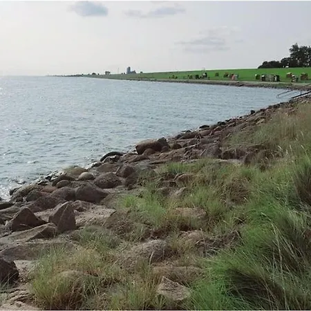 Schneider Дом отдыха *