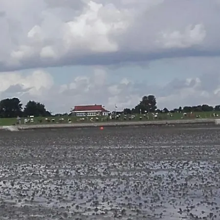 Schneider Бюзумер-Дайххаузен