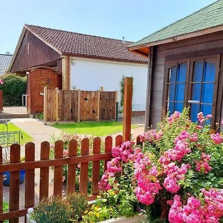 Schneider Дом отдыха